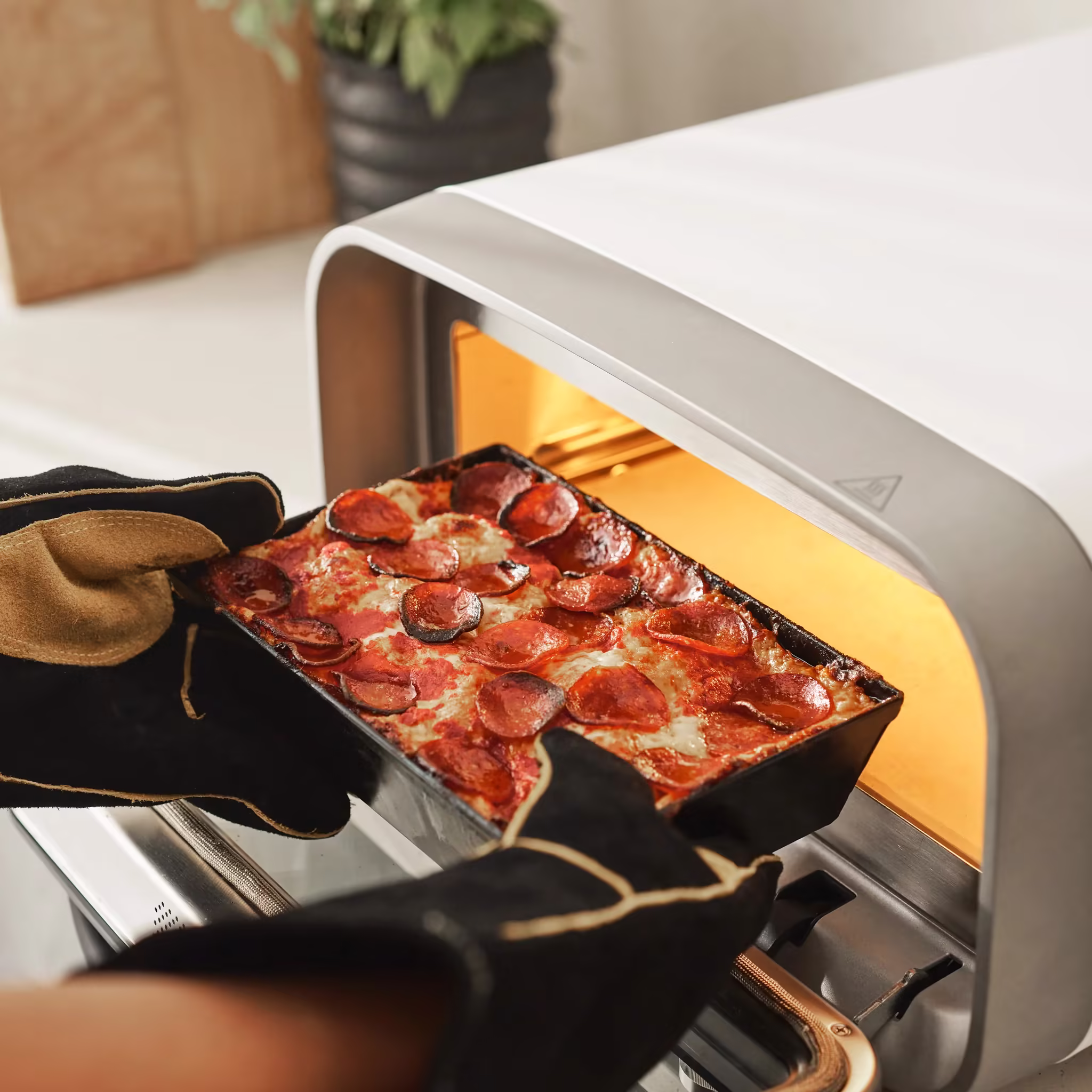 Volt 2 Culinary Bundle