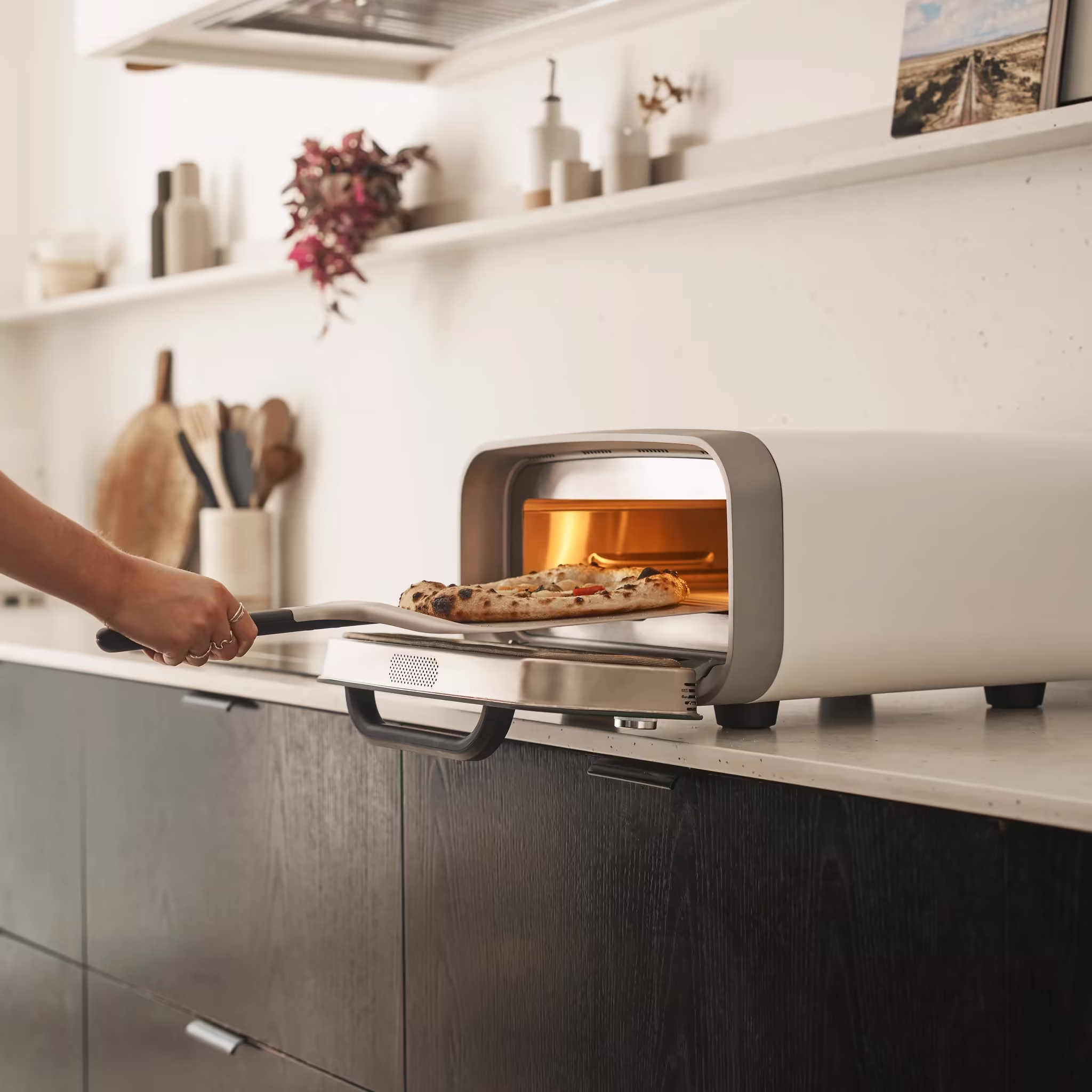 Volt 2 Culinary Bundle