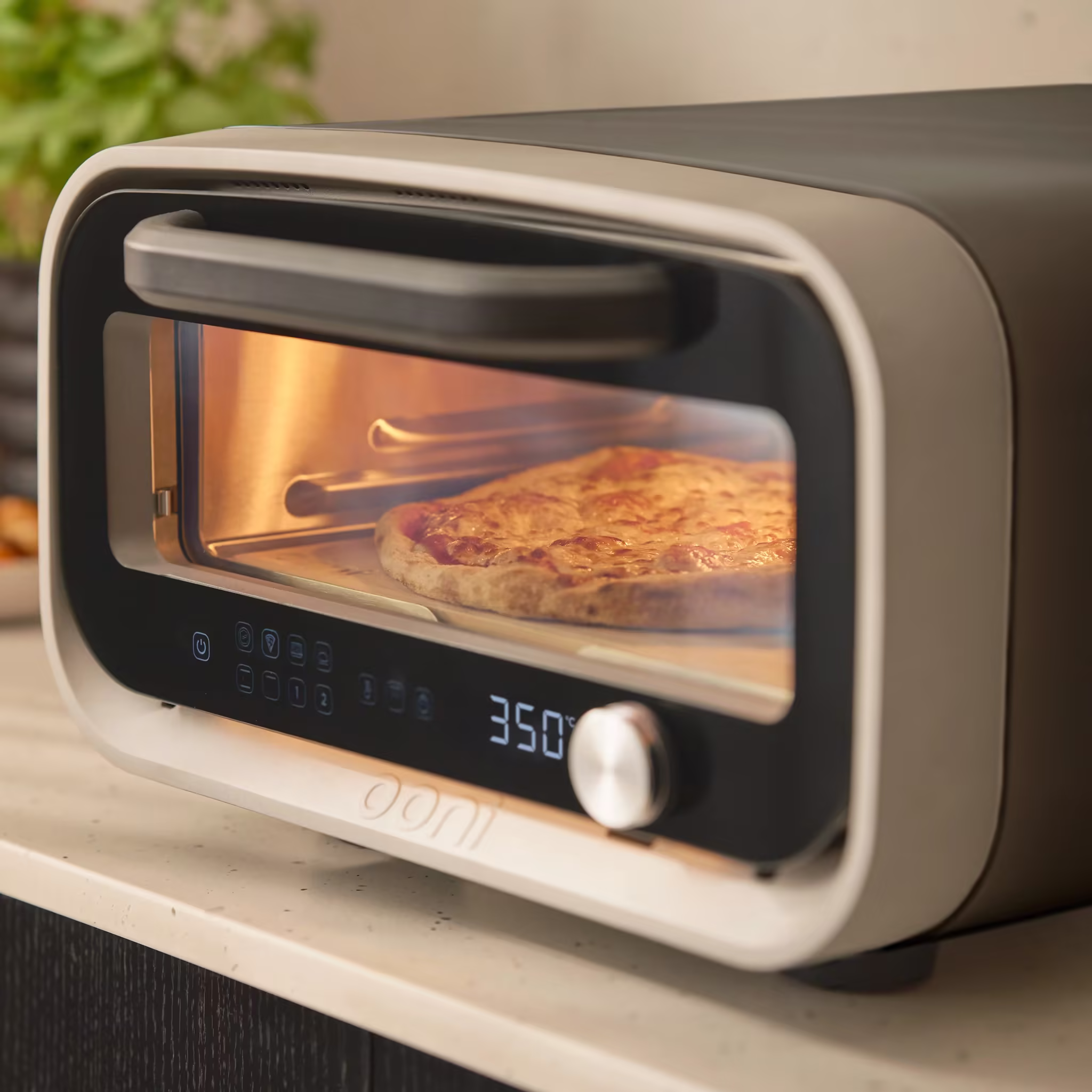 Volt 2 Culinary Bundle